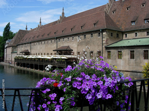 Photo: Strasburgo Strasburgo