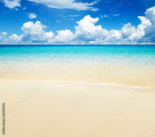 Photo: sea sea