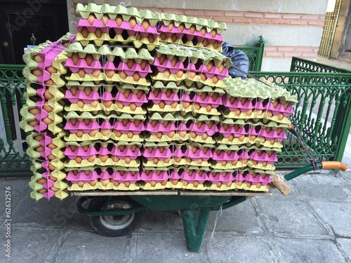 Instant Collection: Yumurta Taşıma Yumurta Taşıma