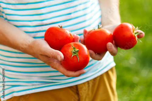 Photo: Tomatoes in the hands Tomatoes in the hands