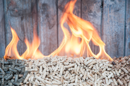 Photo: Pellets- Biomass Pellets- Biomass