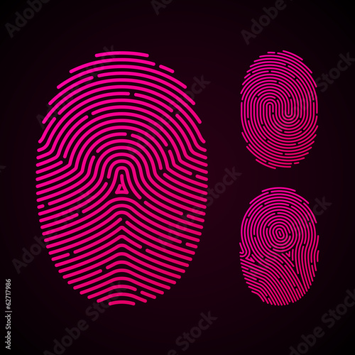 Vector: Types of fingerprint patterns Types of fingerprint patterns