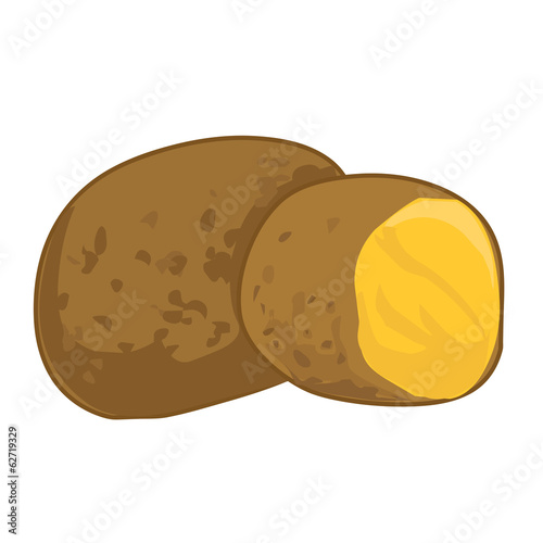 Vector: potato isolated illustration potato isolated illustration