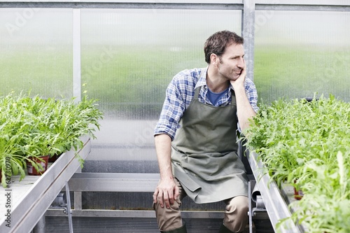 Photo: Deutschland, München, Mann im Gewächshaus zwischen Rucola Deutschland, München, Mann im Gewächshaus zwischen Rucola