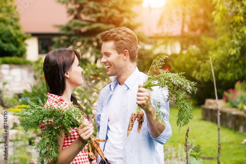 Photo: Paar im Gemüse Garten bei Ernte Paar im Gemüse Garten bei Ernte