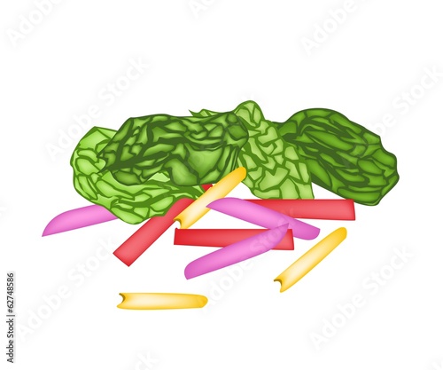 Vector: Fresh Rainbow Swiss Chards on White Background Fresh Rainbow Swiss Chards on White Background