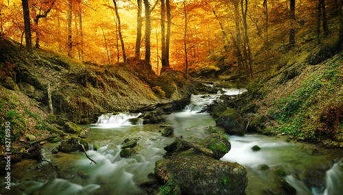 Photo: forest waterfall forest waterfall