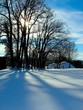 silhouette arbre et neige silhouette arbre et neige