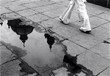 passant et reflet passant et reflet