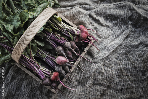 Photo: Organic Assorted Beets with stems just harvested Organic Assorted Beets with stems just harvested