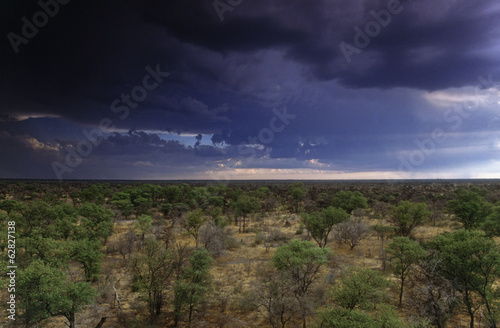 Photo: Storm clouds over the mopane woodland of the Okavanga Delta, Botswana Storm clouds over the mopane woodland of the Okavanga Delta, Botswana