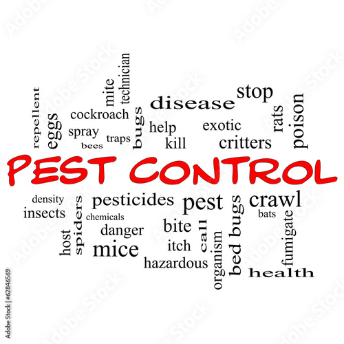 Illustration: Pest Control Word Cloud Concept in red caps Pest Control Word Cloud Concept in red caps