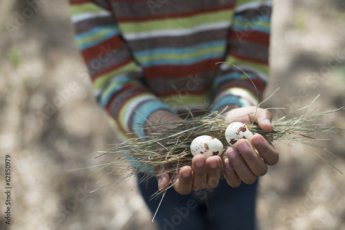 Foto: A New York city park in the spring. A small boy in a striped shirt, holding a nest with three birds eggs. A New York city park in the spring. A small boy in a striped shirt, holding a nest with three birds eggs.