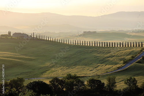Photo: paesaggio toscana veduta vallata e alberi paesaggio toscana veduta vallata e alberi