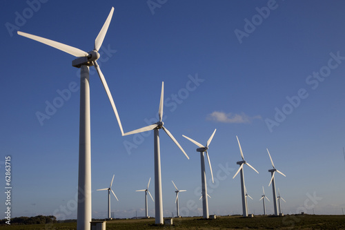 Photo: wind turbines wind turbines