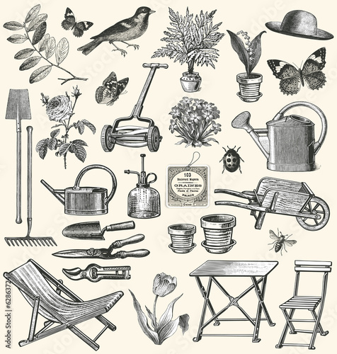 Vector: In the garden In the garden