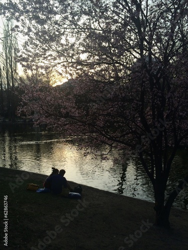 Instant Collection: couple at the sunset couple at the sunset
