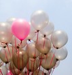 pink balloon pink balloon