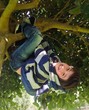 Bambino sull'albero Bambino sull'albero