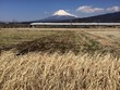 Mountain Fuji and Shinkansen Mountain Fuji and Shinkansen