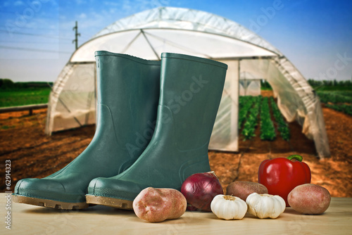 Photo: Rubber boots and various vegetable with greenhouse in background Rubber boots and various vegetable with greenhouse in background