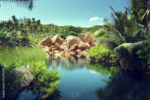 Photo: lake in jungle of Seychelles, La Digue island lake in jungle of Seychelles, La Digue island