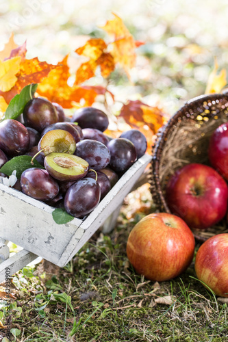 Photo: Leckeres Obst in der Natur Leckeres Obst in der Natur