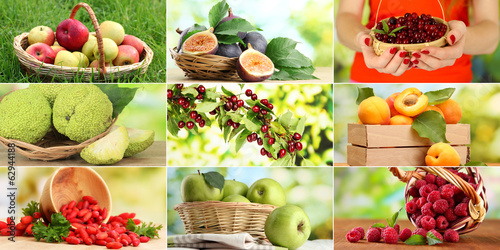 Photo: Collage of garden fruits and berries Collage of garden fruits and berries