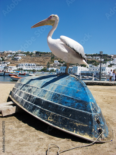 Photo: Pelican Bird on the Blue Boat Pelican Bird on the Blue Boat
