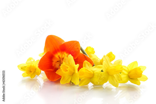 Photo: bouquet of yellow daffodils with small tulips bouquet of yellow daffodils with small tulips