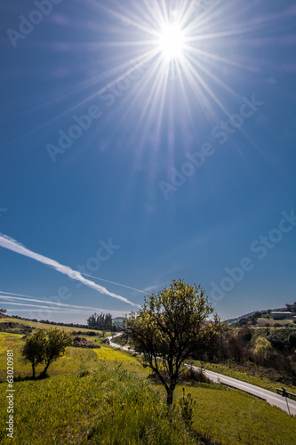 Photo: Sardinian Landscape Sardinian Landscape