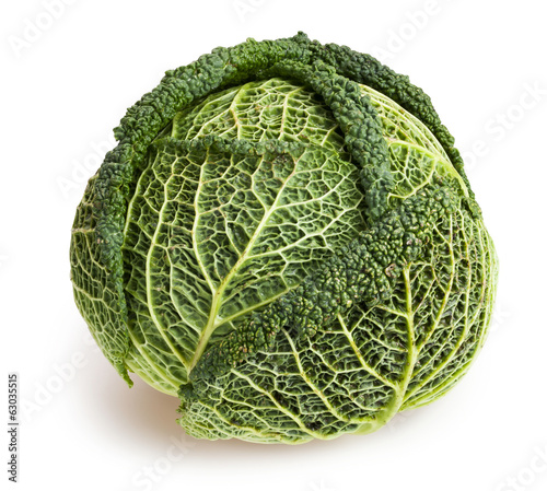 Photo: savoy cabbage savoy cabbage