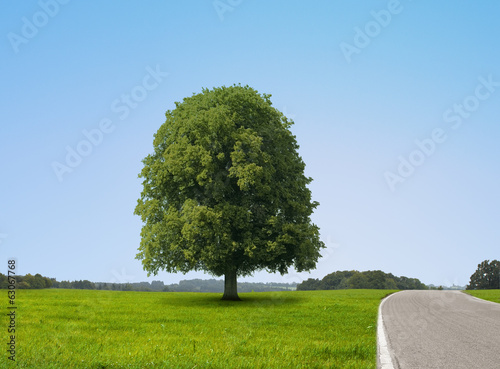 Photo: Landstraße im Sommer Landstraße im Sommer