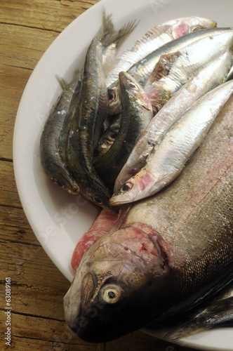 Photo: Fresh seafood Pescado fresco Pesce fresco Fresh seafood Pescado fresco Pesce fresco