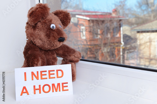 Photo: Toy-bear looking out window close-up Toy-bear looking out window close-up