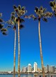 Downtown Skyline View of San Diego from Coronado Island Downtown Skyline View of San Diego from Coronado Island