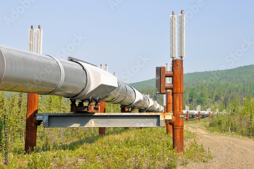 Photo: Trans-Alaska Oil Pipeline (USA) Trans-Alaska Oil Pipeline (USA)