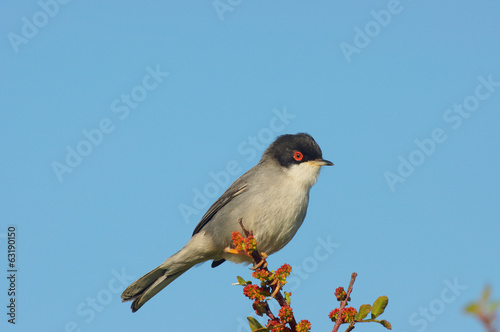 Photo: Occhiocotto Occhiocotto