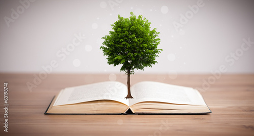 Photo: Tree growing from an open book Tree growing from an open book