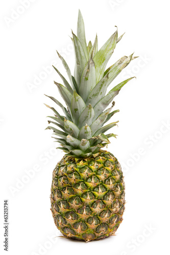 Photo: Pineapple Pineapple