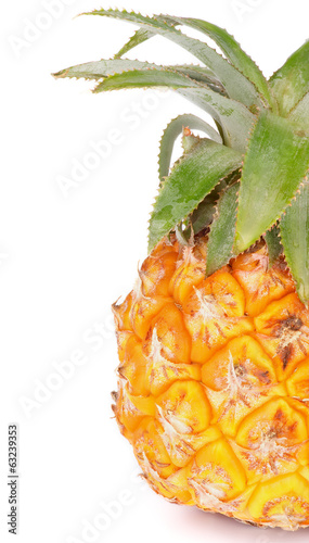 Photo: Pineapple Pineapple