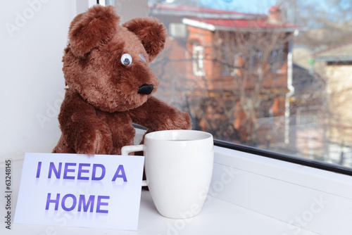 Photo: Toy-bear looking out window close-up Toy-bear looking out window close-up