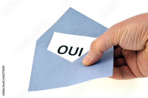 Photo: Oui au référendum Oui au référendum