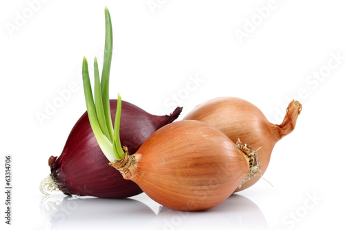 Photo: Red and White Onion Red and White Onion