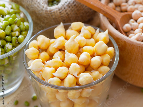 Photo: Chick peas and green mung bean sprouts Chick peas and green mung bean sprouts