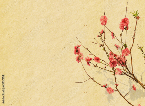Photo: plum blossom on old antique vintage paper background plum blossom on old antique vintage paper background