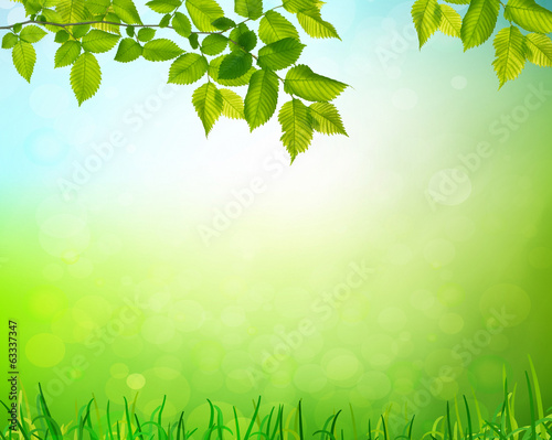 Photo: summer garden background summer garden background