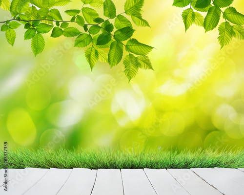 Photo: summer garden background summer garden background