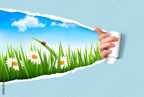 Vector: Spring background with flowers, grass and a ladybug. Vector. Spring background with flowers, grass and a ladybug. Vector.