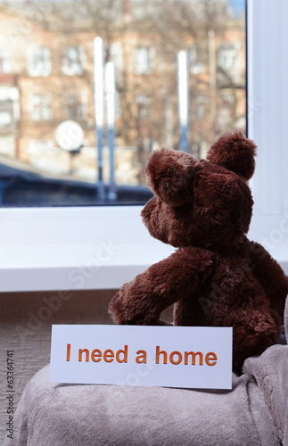 Photo: Toy-bear looking out window close-up Toy-bear looking out window close-up